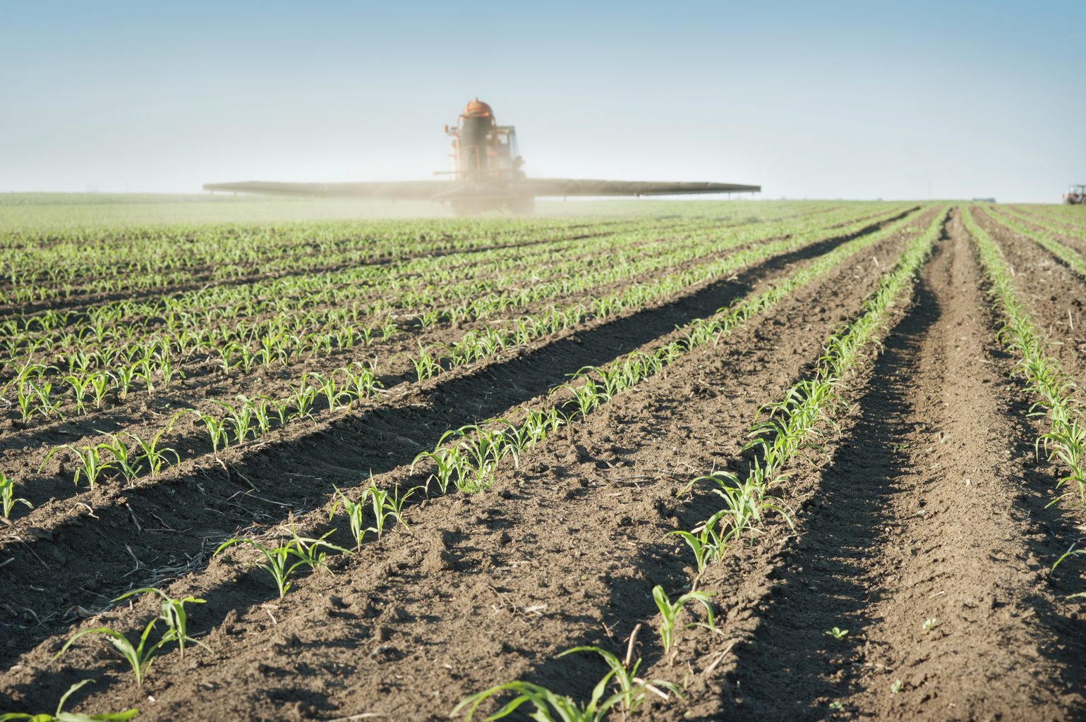 Methods Of Expressing Soil Test Results