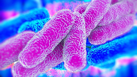 How can a cooling tower spread Legionnaires' Disease?