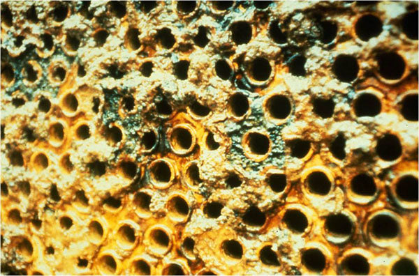 Los métodos para determinar el dióxido de cloro y su oxiclorados en agua