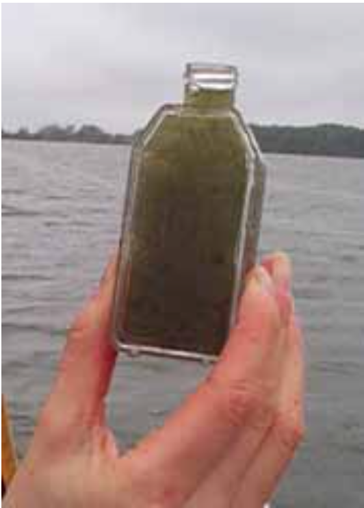 Turbidity: Description, Impact on Water Quality, Sources, Measures