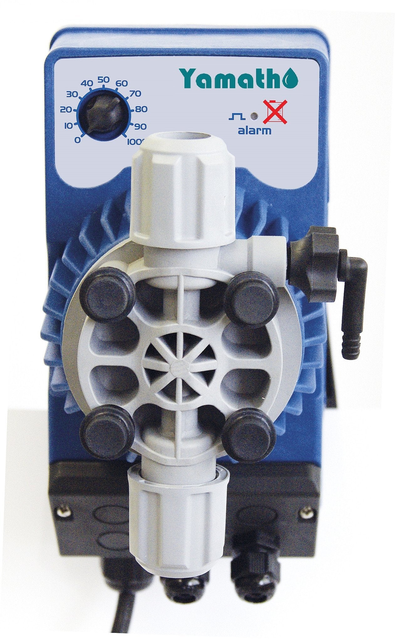 Chemical injection pump suction and discharge design