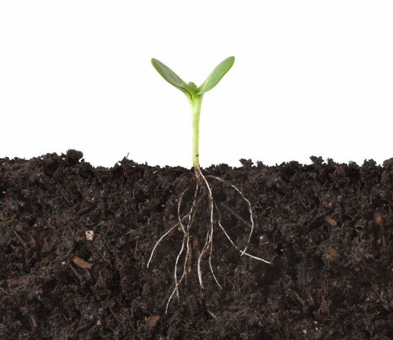 Fundamentos de Análisis de Suelos Agricolas