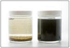 Testing biocides in hydraulic fracturing